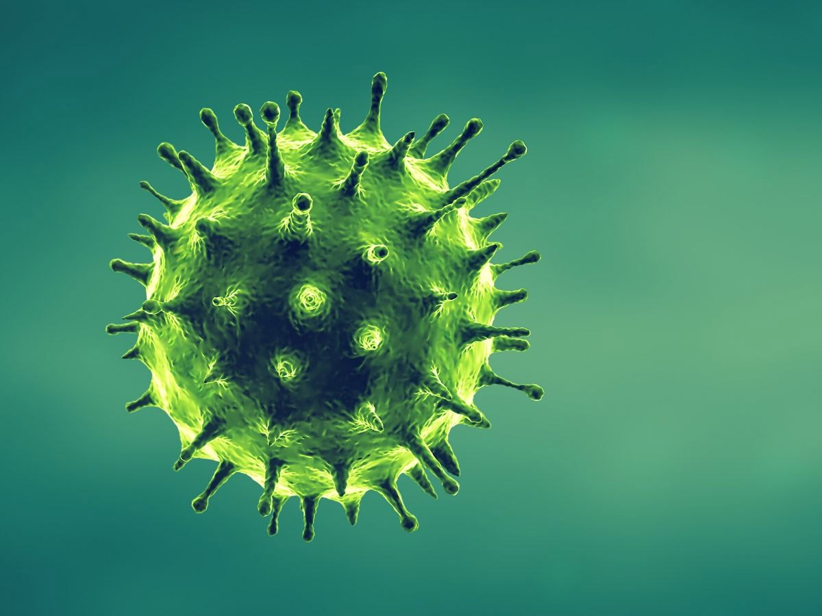 Corona-Krise: Lockerungen in Niedersachsen und Bremen